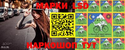 индика Пенза