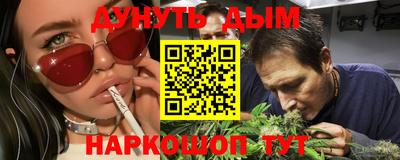 индика Пенза