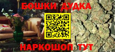 индика Пенза