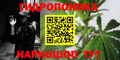 индика Пенза