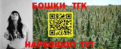 индика Пенза