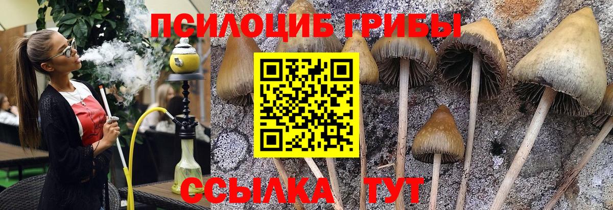 Ростов Великий  Галлюциногенные грибы мухоморы  Псилоцибиновые грибы мицелий  Вход с VPN 